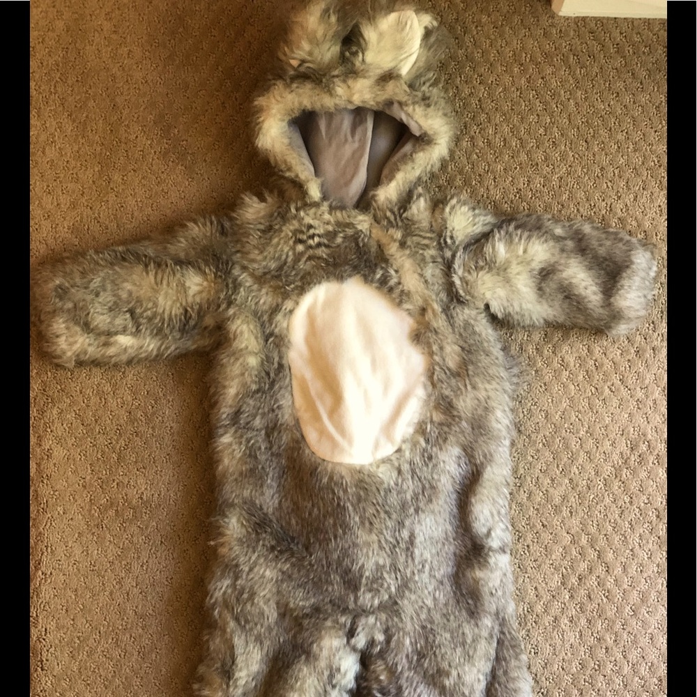 🎃Pottery Barn Kids woodland squirrel Halloween costume🎃